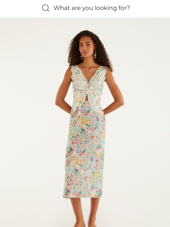 FARM Rio Dresses & Skirts - FARM Rio Pastel Floral Midi Dress with Butterfly Appliqué - Multi